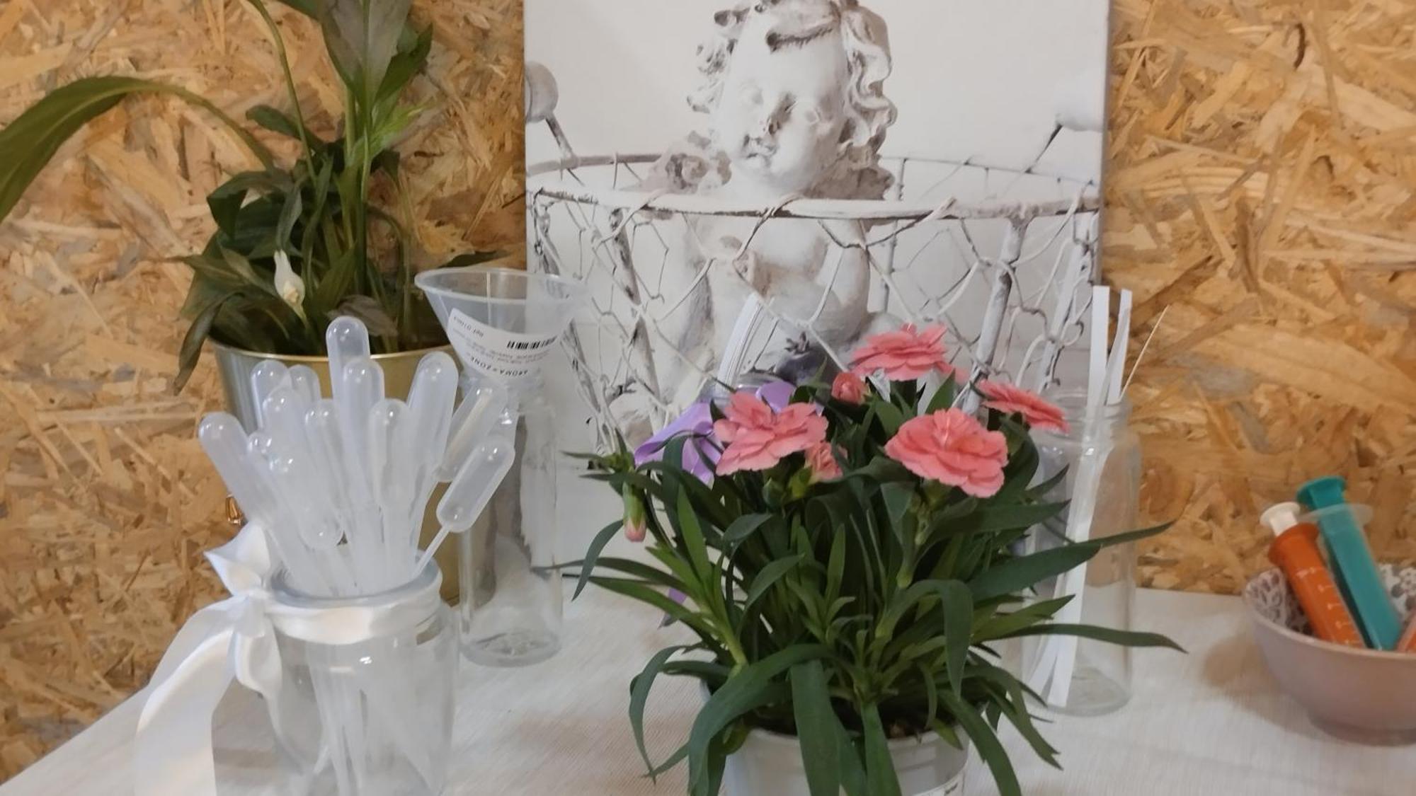 Le Laboratoire Shabby Chic De La Parfumerie Du Manoir Chavagne 外观 照片